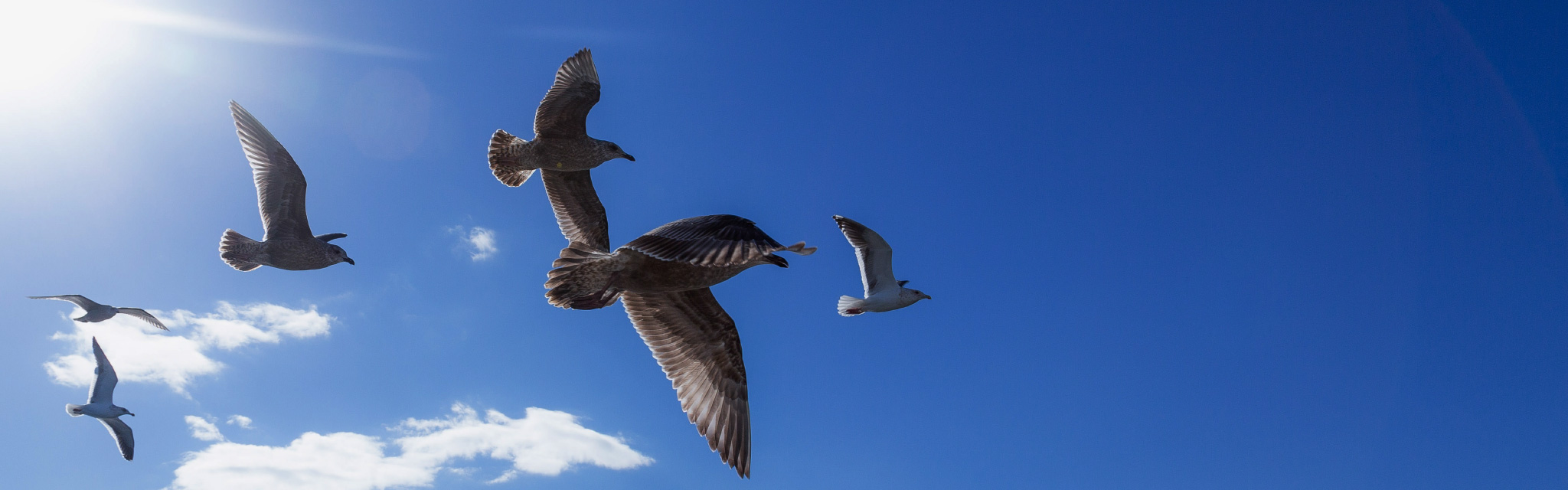 よりよい地球環境のために