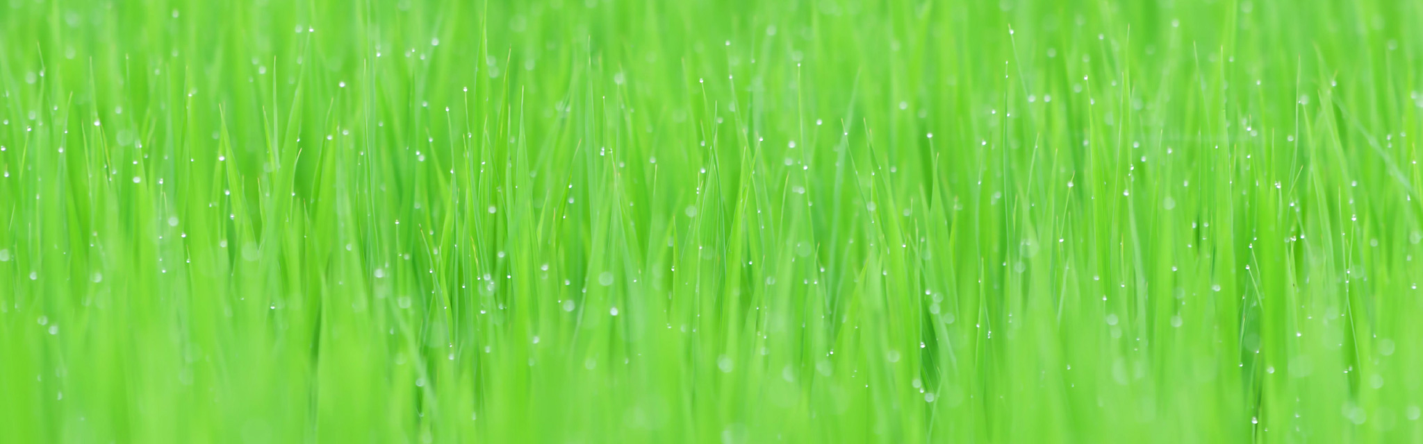 よりよい地球環境のために