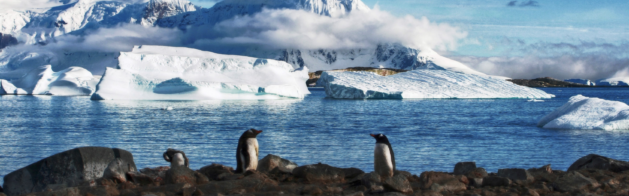 よりよい地球環境のために