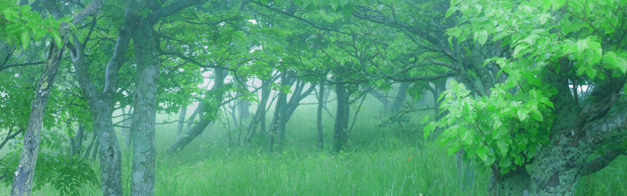 よりよい地球環境のために